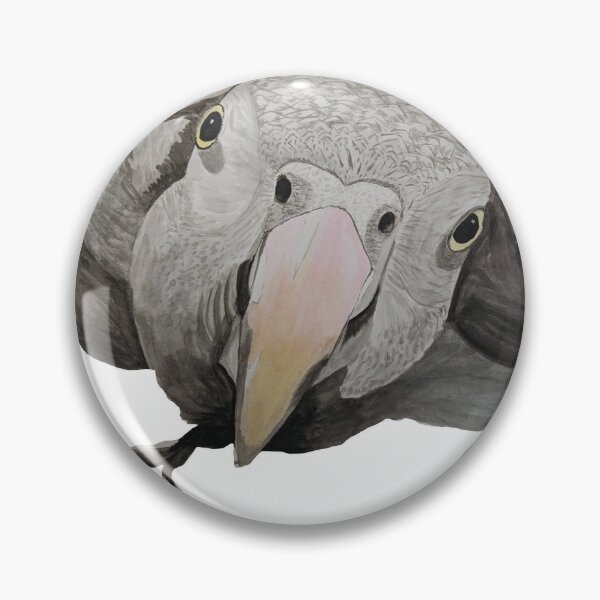 Disover African Grey Parrot | Pin