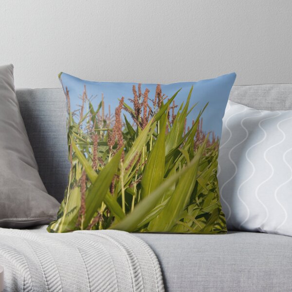 Aug - Brabourne - www.lizgarnett.com Throw Pillow