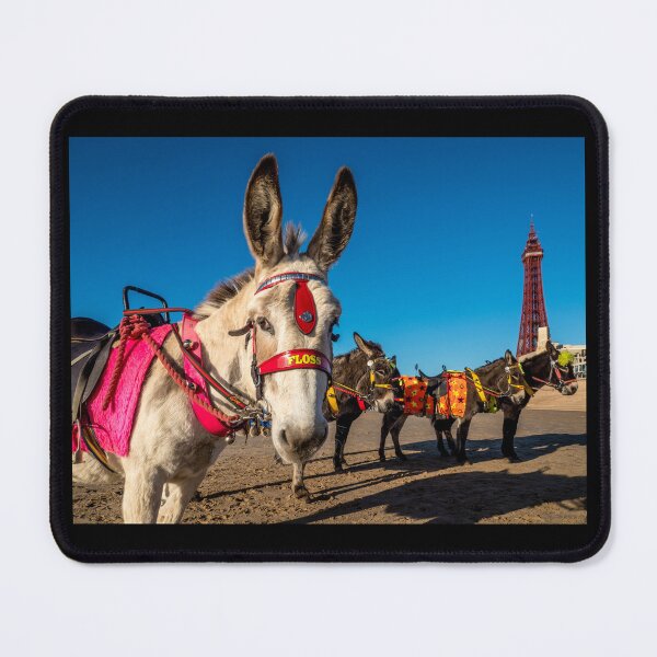 Item preview, White seaside donkey with Blackpool Tower behind. designed and sold by bailey-cooper.