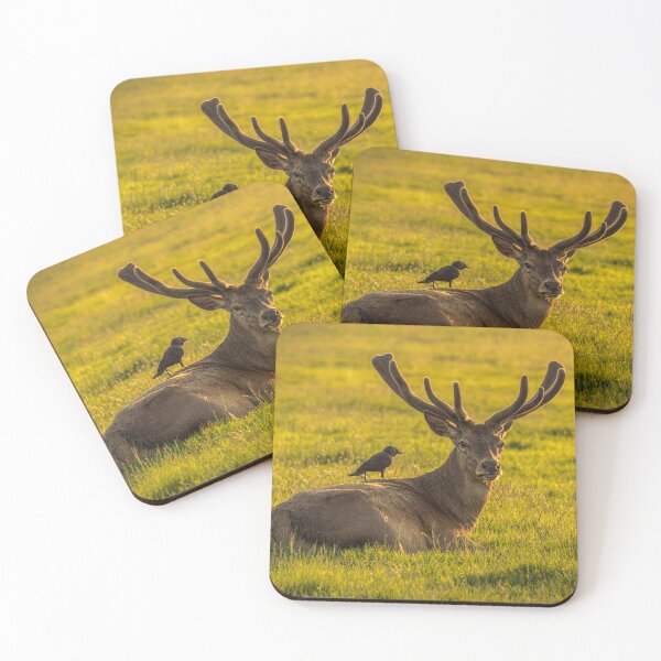Item preview, Crow perched on a stag's back, both resting peacefully  designed and sold by bailey-cooper.
