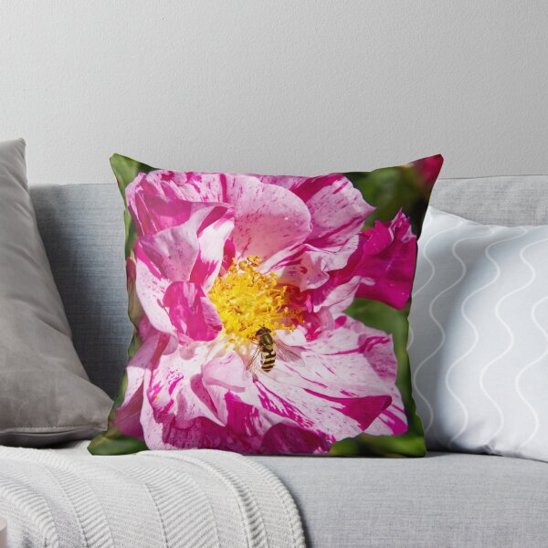 Item preview, Bee Pollinating Rosa Gallica - French Rose - RHS Garden Rosemoor - Devon - English Gardens designed and sold by LucaRocchini.