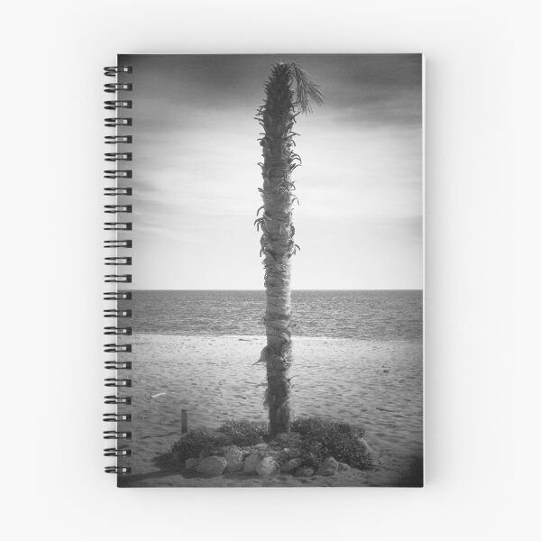Item preview, 2015 Palma senza foglie designed and sold by robertoferrero.