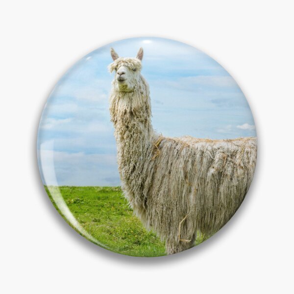 Item preview, White alpaca standing in field with blue sky designed and sold by bailey-cooper.