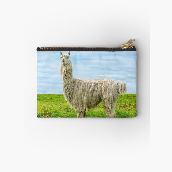 Item preview, White alpaca standing in field with blue sky designed and sold by bailey-cooper.