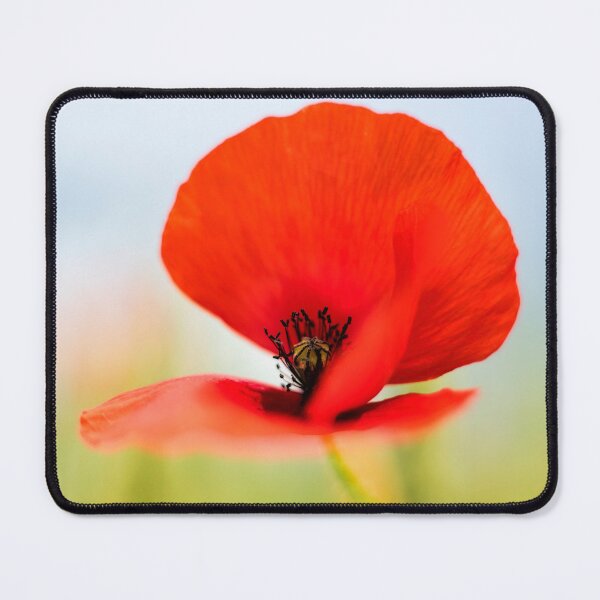 Item preview, Poppy in full bloom designed and sold by Susan Reilly.
