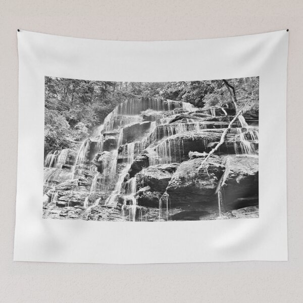 Item preview, Oconee County South Carolina Yellow Branch Falls Black And White designed and sold by LisaWootenPhoto.
