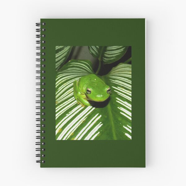 Item preview, Green tree frog designed and sold by AnnaKT.