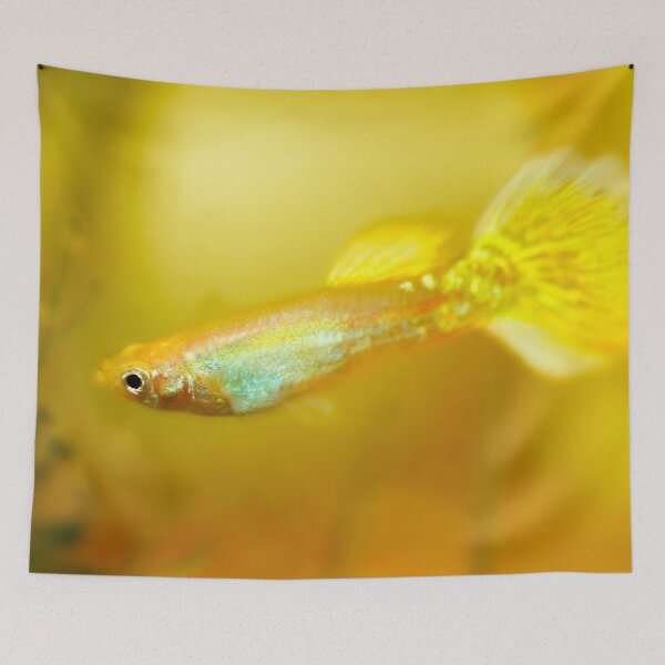 Item preview, Yellow Guppy Fish by heidiannemorris © designed and sold by FOLK ART FUSION by heidiannemorris.