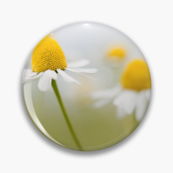 Item preview, Cone Flowers designed and sold by Susan Reilly.