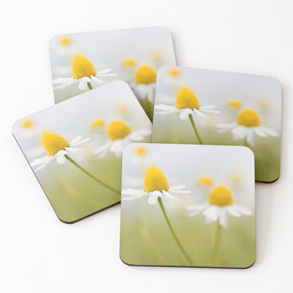 Item preview, Cone Flowers designed and sold by Susan Reilly.