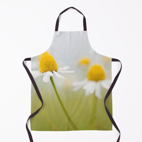 Item preview, Cone Flowers designed and sold by Susan Reilly.
