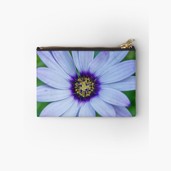 Item preview, Dimorphotheca Pluvialis - Cape Daisy - RHS Garden Rosemoor - Devon - English Gardens designed and sold by LucaRocchini.