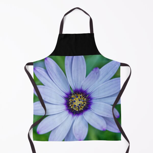 Item preview, Dimorphotheca Pluvialis - Cape Daisy - RHS Garden Rosemoor - Devon - English Gardens designed and sold by LucaRocchini.