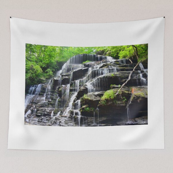 Item preview, Oconee County South Carolina Yellow Branch Falls 2 designed and sold by LisaWootenPhoto.
