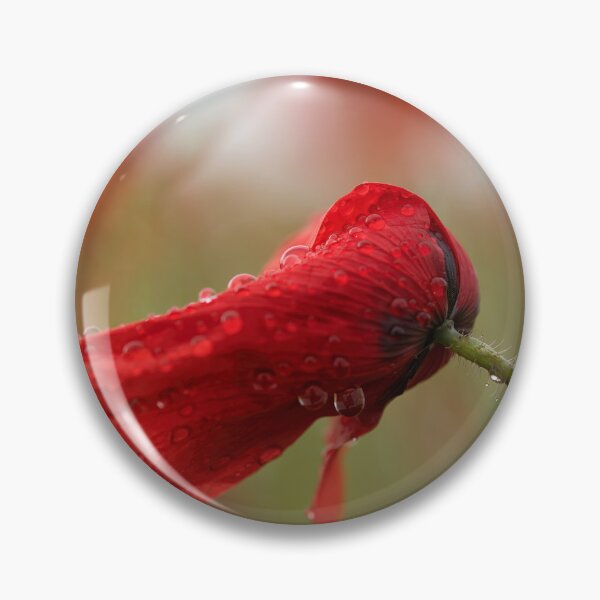 Item preview, Rain wet Poppy designed and sold by Susan Reilly.