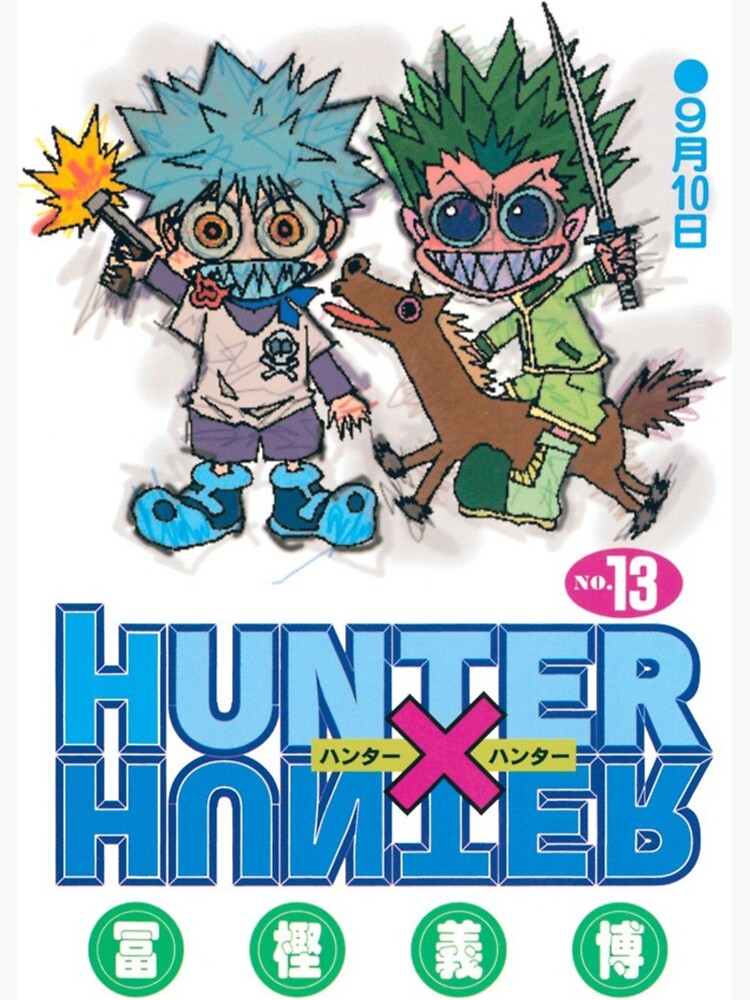 Killua Zoldyck Hunter X Hunter Anime Series Hd Matte Finish Poster