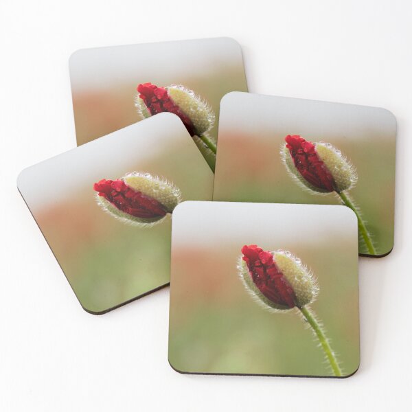 Item preview, Brave new Poppy, still in bud enjoying the rain  designed and sold by Susan Reilly.