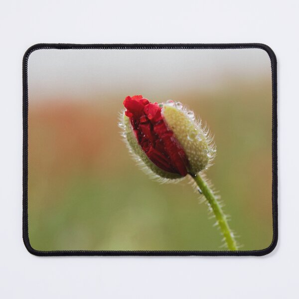 Item preview, Brave new Poppy, still in bud enjoying the rain  designed and sold by Susan Reilly.