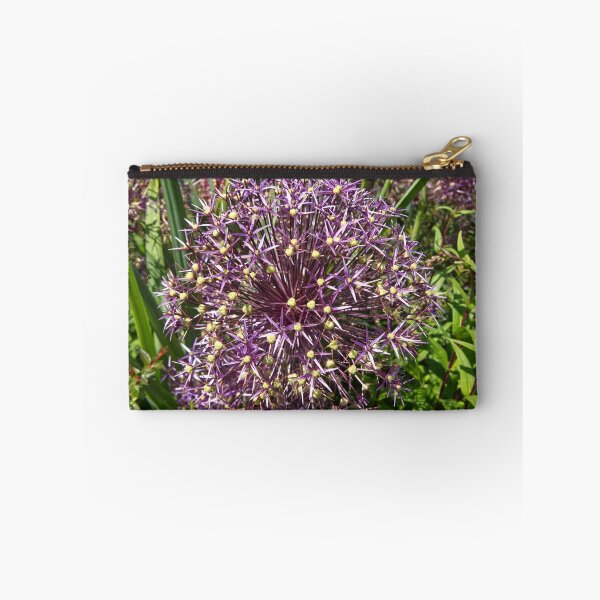 Item preview, Allium Cristophii - Persian Onion - RHS Garden Rosemoor - Devon - English Gardens designed and sold by LucaRocchini.