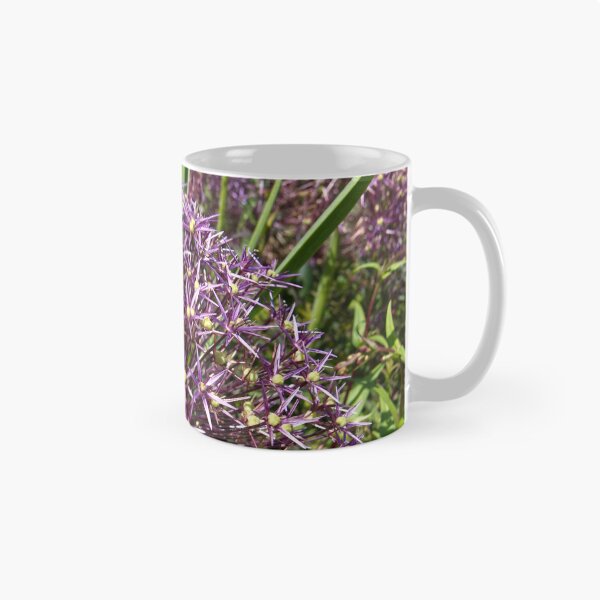 Item preview, Allium Cristophii - Persian Onion - RHS Garden Rosemoor - Devon - English Gardens designed and sold by LucaRocchini.