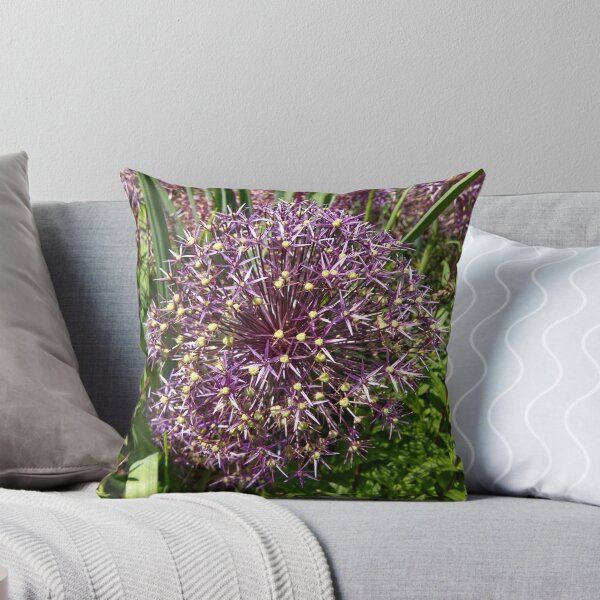 Item preview, Allium Cristophii - Persian Onion - RHS Garden Rosemoor - Devon - English Gardens designed and sold by LucaRocchini.
