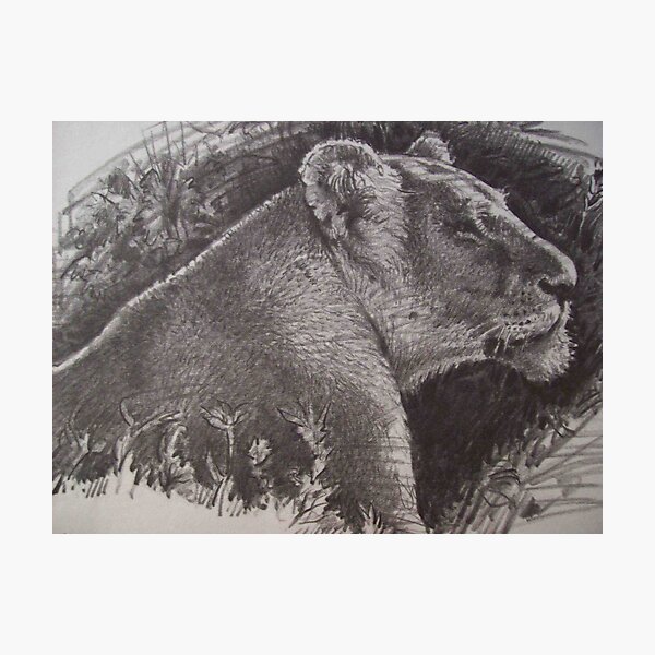 Item preview, Lion designed and sold by coolart.