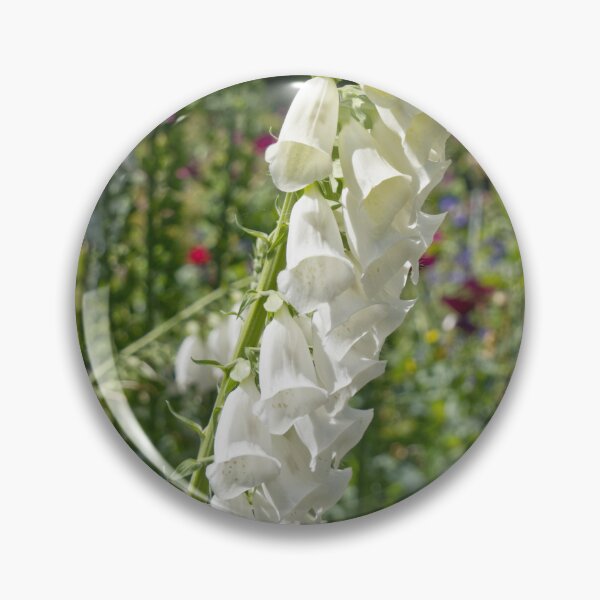 Item preview, Digitalis Purpurea - Common Foxglove - RHS Garden Rosemoor - Devon - English Gardens designed and sold by LucaRocchini.