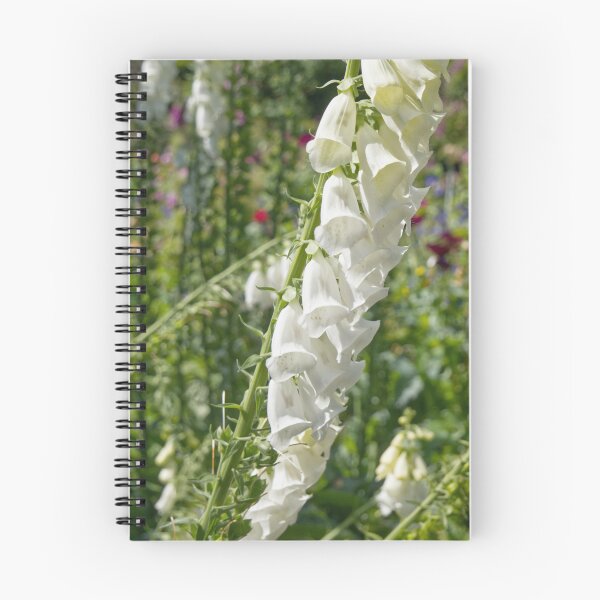 Item preview, Digitalis Purpurea - Common Foxglove - RHS Garden Rosemoor - Devon - English Gardens designed and sold by LucaRocchini.