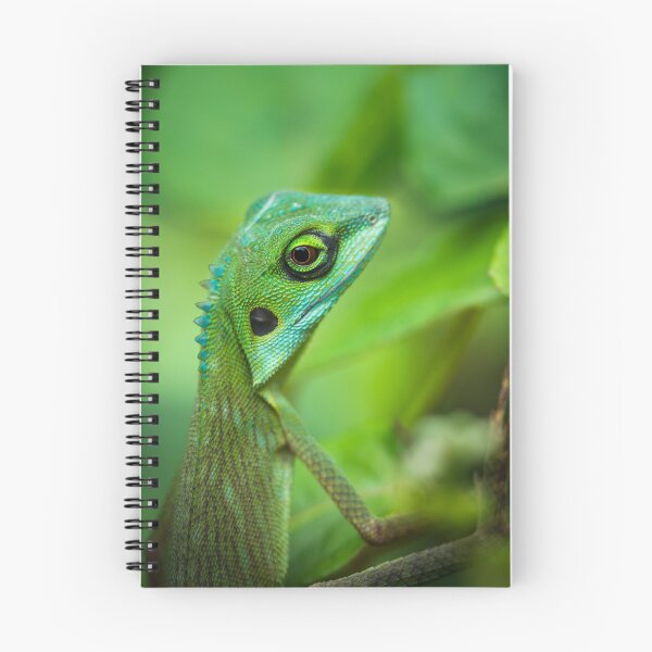 Item preview, A little dragon is watching you designed and sold by AnnaKT.