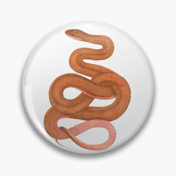 Item preview, Orange Snake designed and sold by BeagleDesigns.