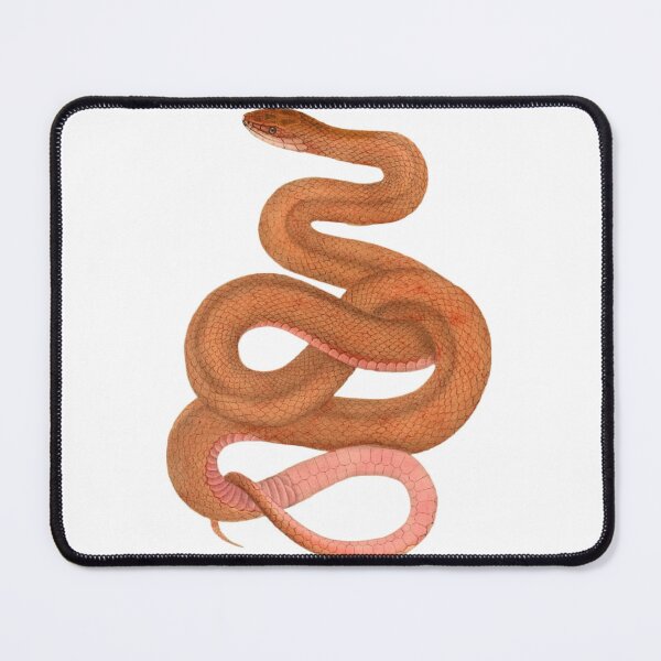 Item preview, Orange Snake designed and sold by BeagleDesigns.