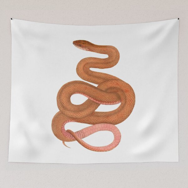 Item preview, Orange Snake designed and sold by BeagleDesigns.