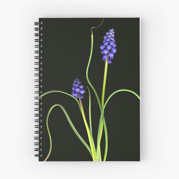 Item preview, Grape Hyacinth designed and sold by Lisa  Davis.