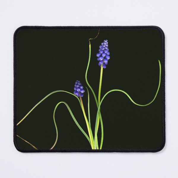 Item preview, Grape Hyacinth designed and sold by Lisa  Davis.
