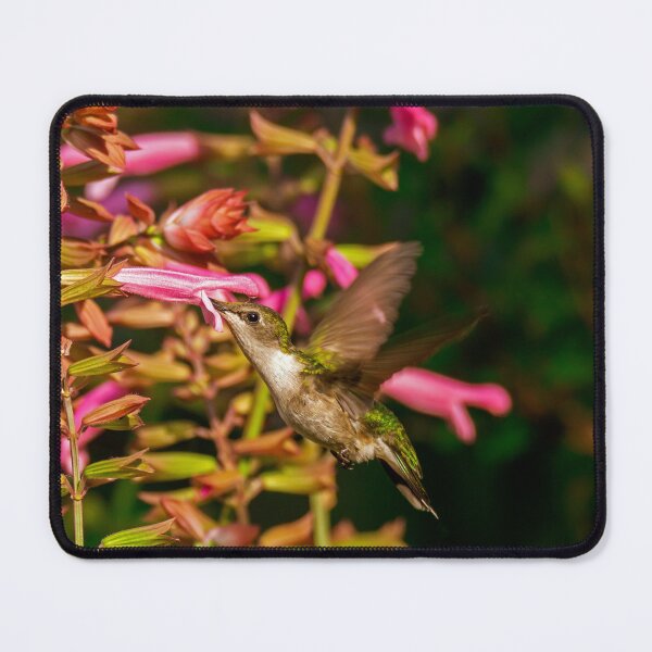 Item preview, Humming Bird in Flight designed and sold by TinyDinoDesigns.