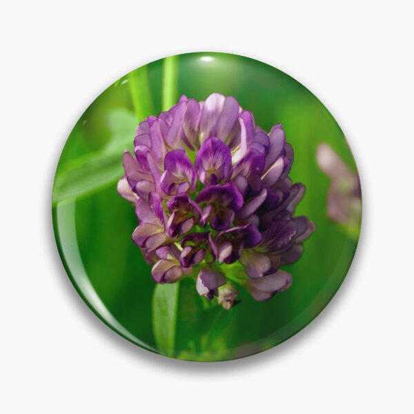 Item preview, Alfalfa Flower designed and sold by TinyDinoDesigns.