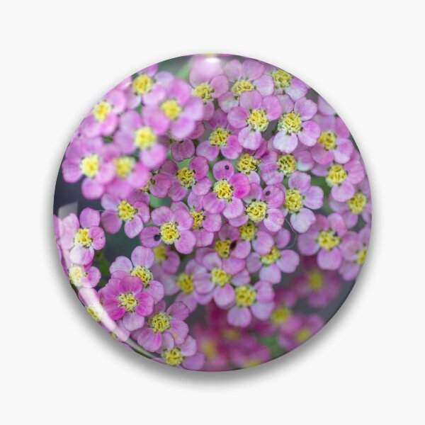 Item preview, Landscape designed and sold by CAAnderson.