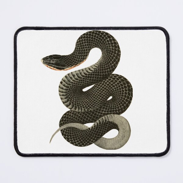 Item preview, Black Snake designed and sold by BeagleDesigns.