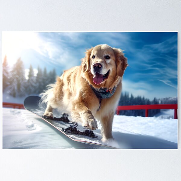 A realistic photo of a dog in snowboarding outfit Poster