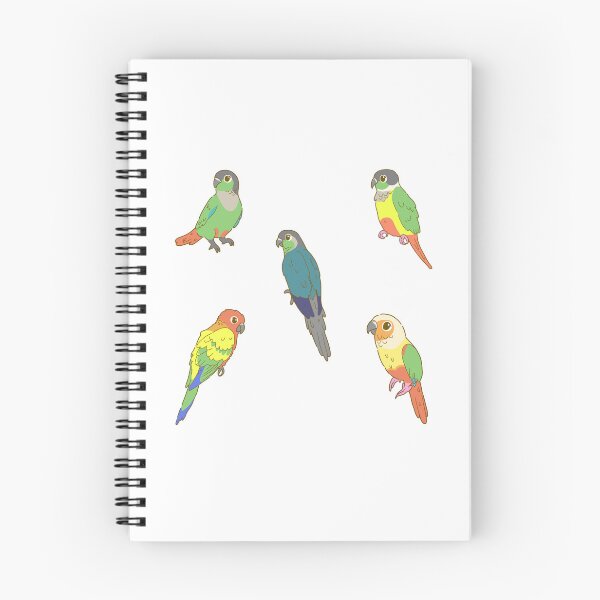 Item preview, Colourful Conures Sticker Pack designed and sold by casserolestan.