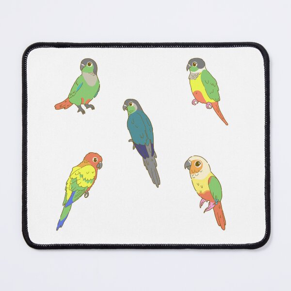 Item preview, Colourful Conures Sticker Pack designed and sold by casserolestan.