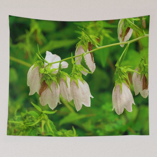 Item preview, Spotted Bellflower designed and sold by TinyDinoDesigns.