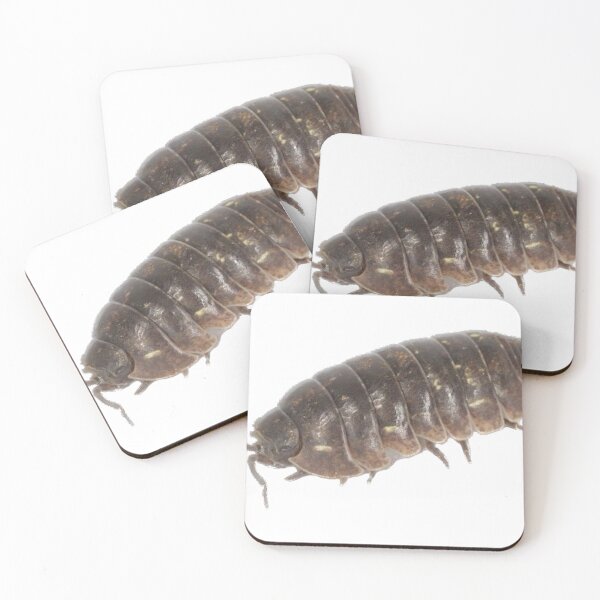 Item preview, Roly Poly Pill Bug Isopod Friend designed and sold by Magironi.