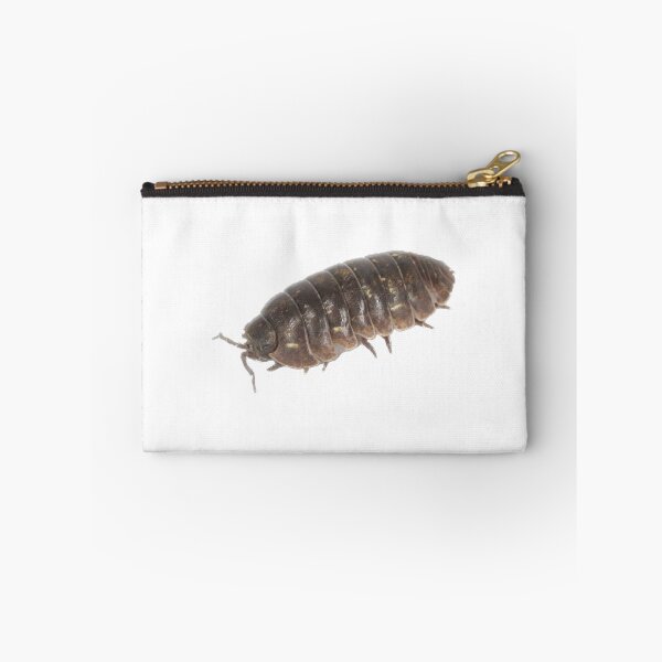Item preview, Roly Poly Pill Bug Isopod Friend designed and sold by Magironi.
