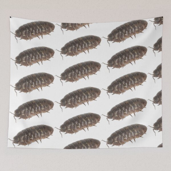 Item preview, Roly Poly Pill Bug Isopod Friend designed and sold by Magironi.