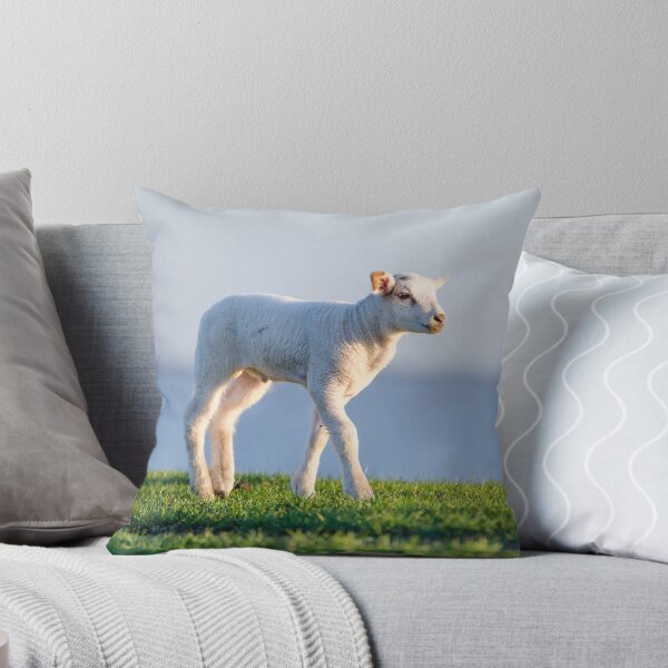 Item preview, A lamb on the dike in Emden designed and sold by Stefans-Bilder.