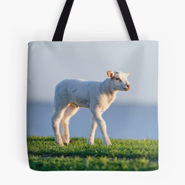 Item preview, A lamb on the dike in Emden designed and sold by Stefans-Bilder.
