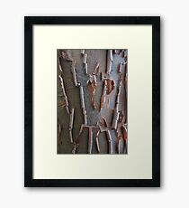 peeling Framed Print