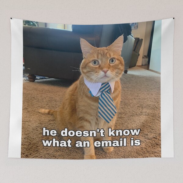 Item preview, Chonk Meme Email designed and sold by chonkandbeans.