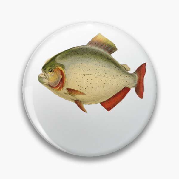 Item preview, Piranha designed and sold by BeagleDesigns.